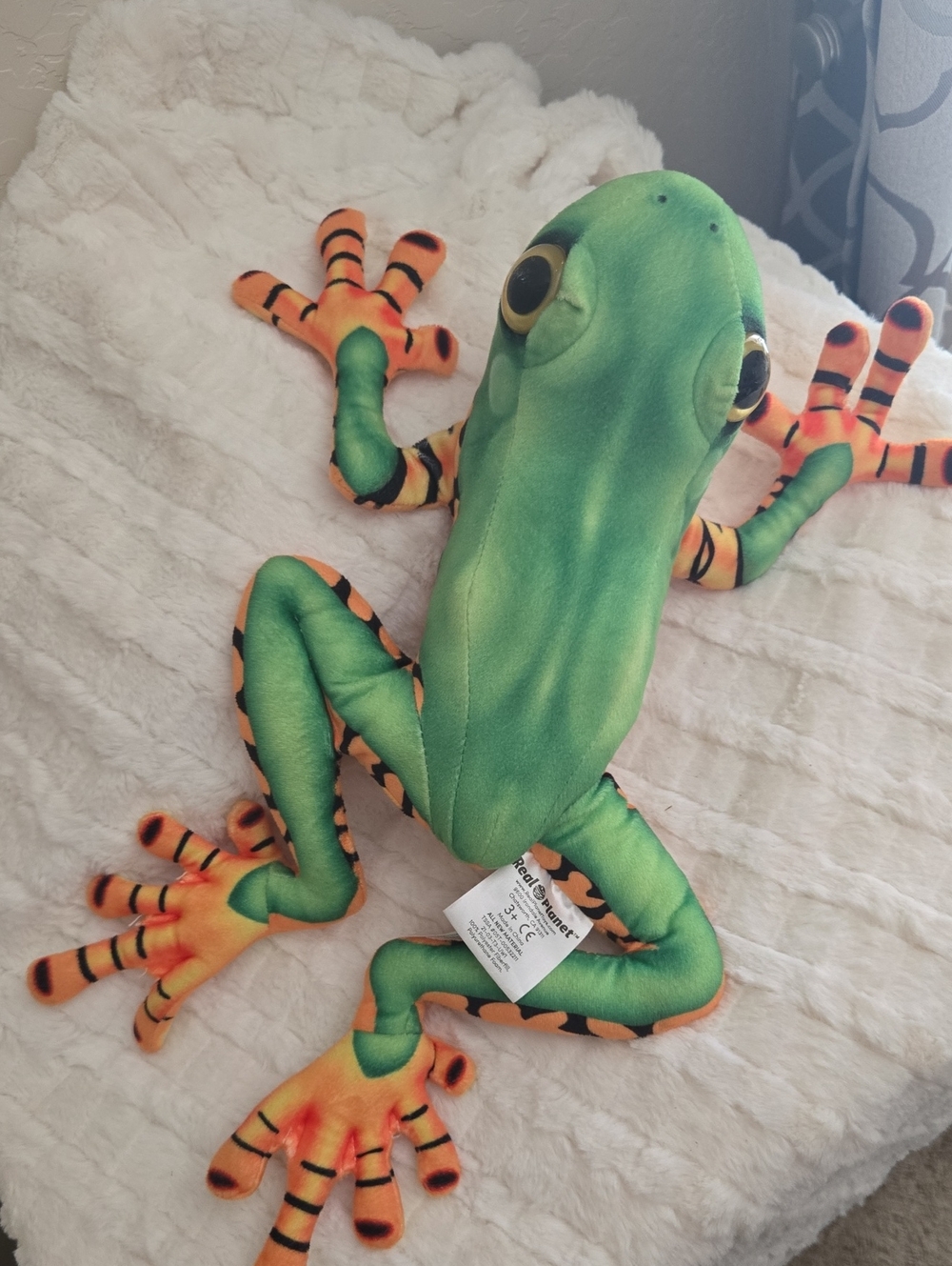 Plush Tiger-Legged Tree Frog